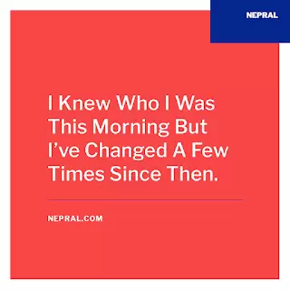 Girly Quotes – 15 Cute Girly Quotes Wallpapers