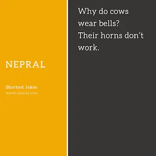 Comedy jokes clean - Funny jokes laugh out loud