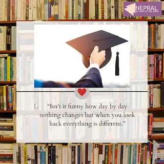 Farewell quotes for seniors - School farewell quotes