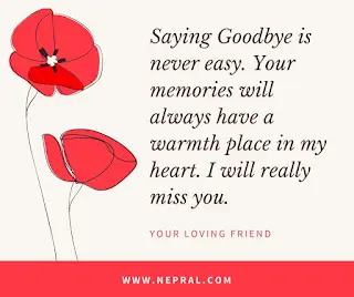 Farewell quotes for seniors - School farewell quotes
