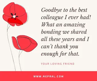 Farewell quotes for seniors - School farewell quotes