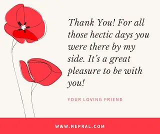 Farewell quotes for seniors - School farewell quotes