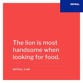 Handsome quotes - Quotes for handsome man