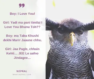 Best funny jokes - Funny comedy