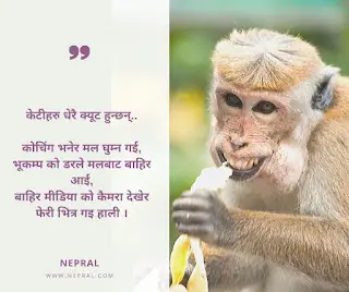 Best funny jokes - Funny comedy